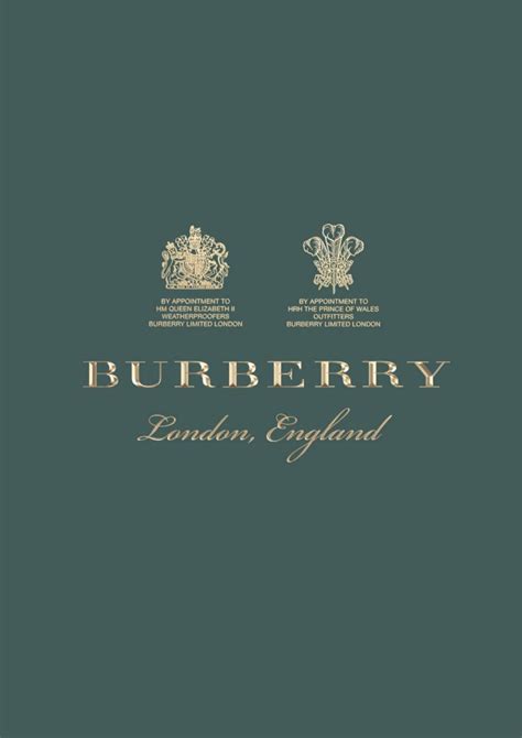 burberry brand guidelines|Burberry products.